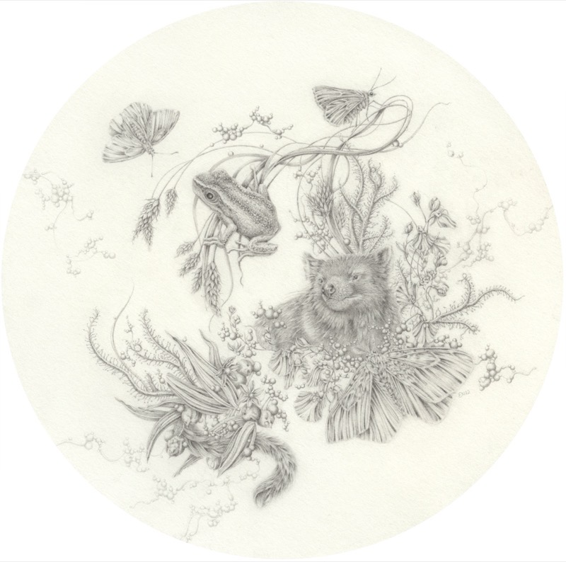 Artwork: Tasmanian Devil and Brown Tree Frog