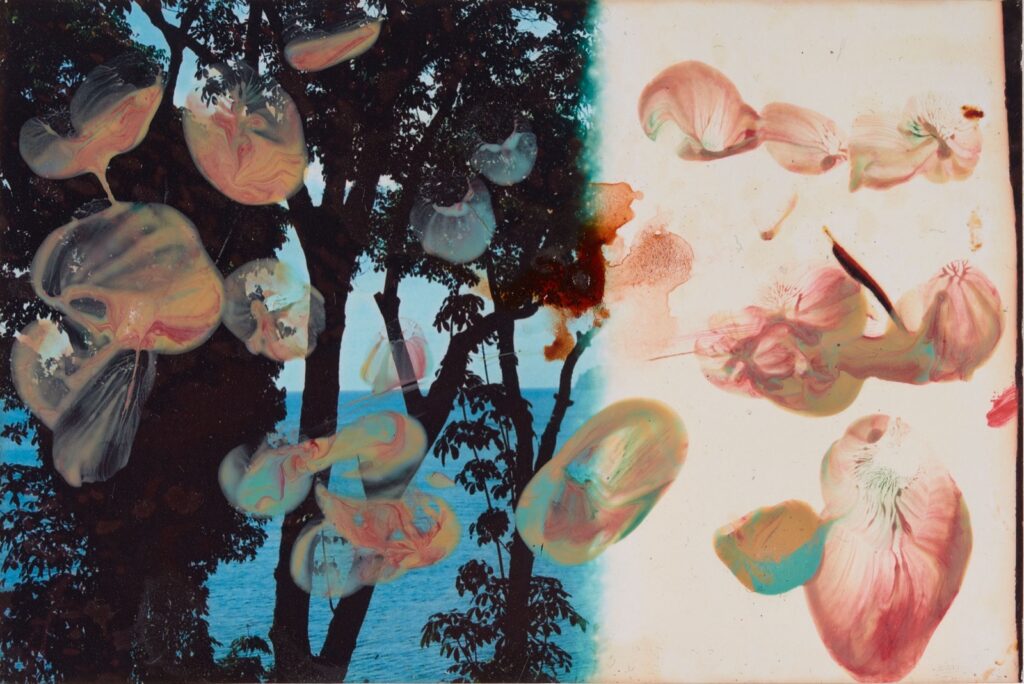 Artwork: Painting on Small Photograph 4