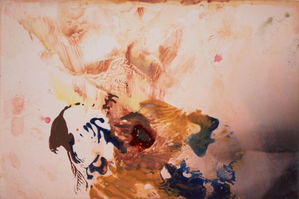 Artwork: Painting on Small Photograph 6