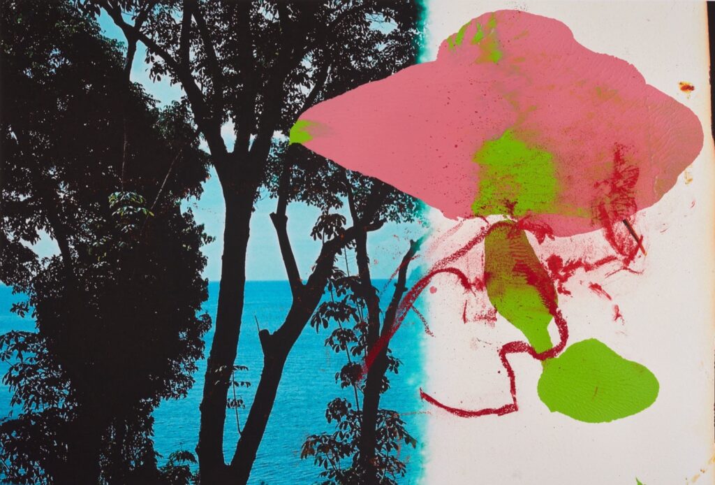 Artwork: Painting on Photograph 3