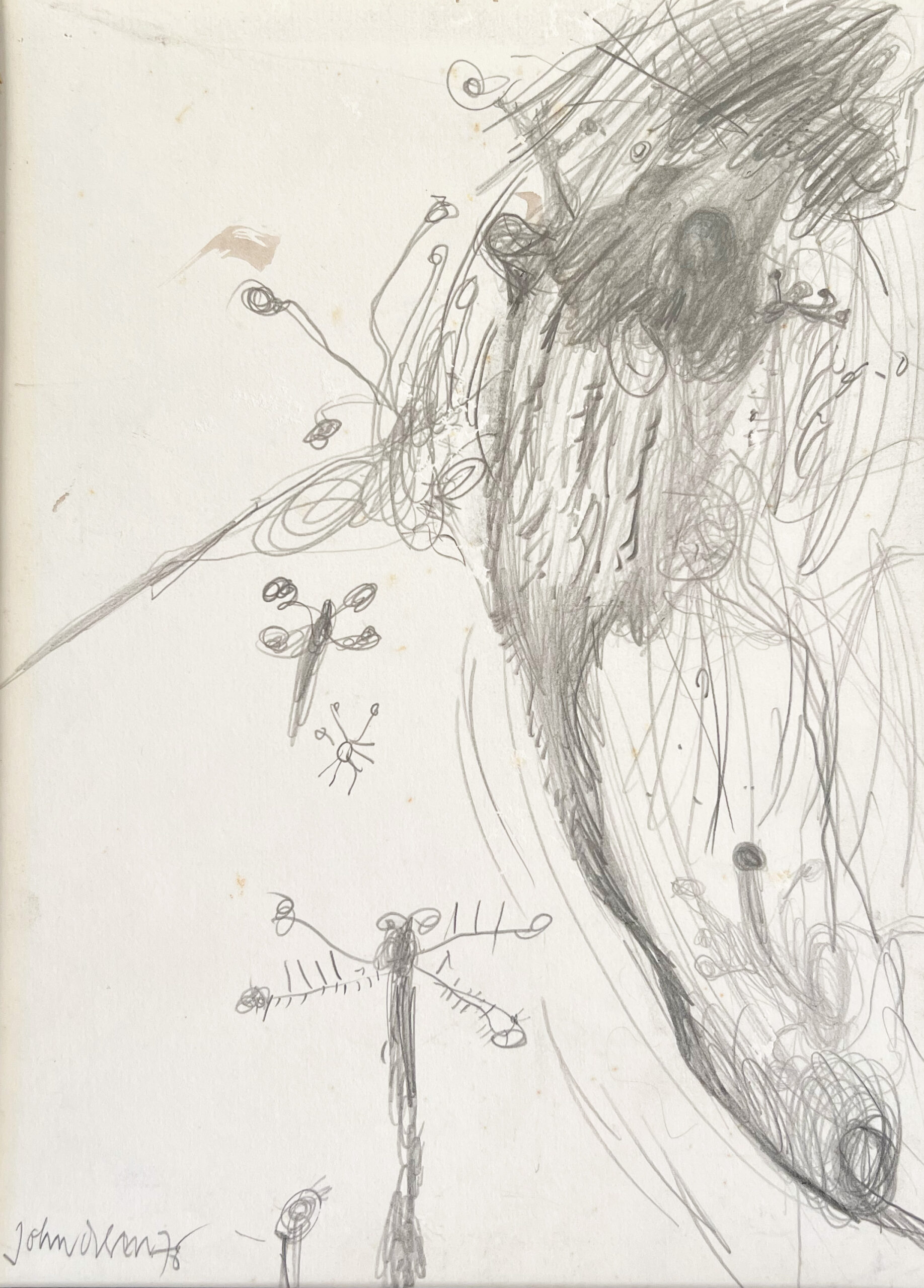 Artwork: Honey Possum