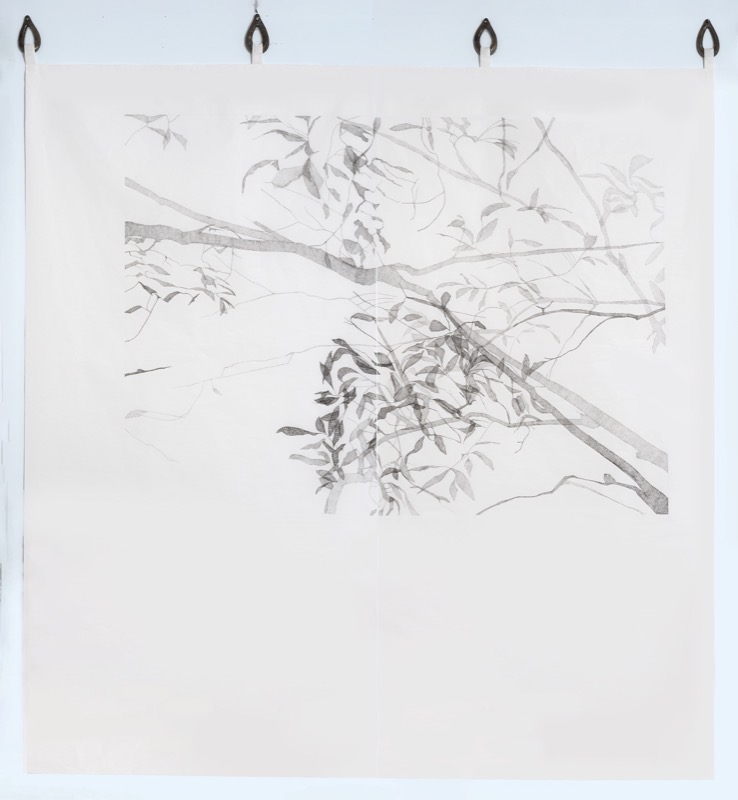 Artwork: Between shadows and a dream