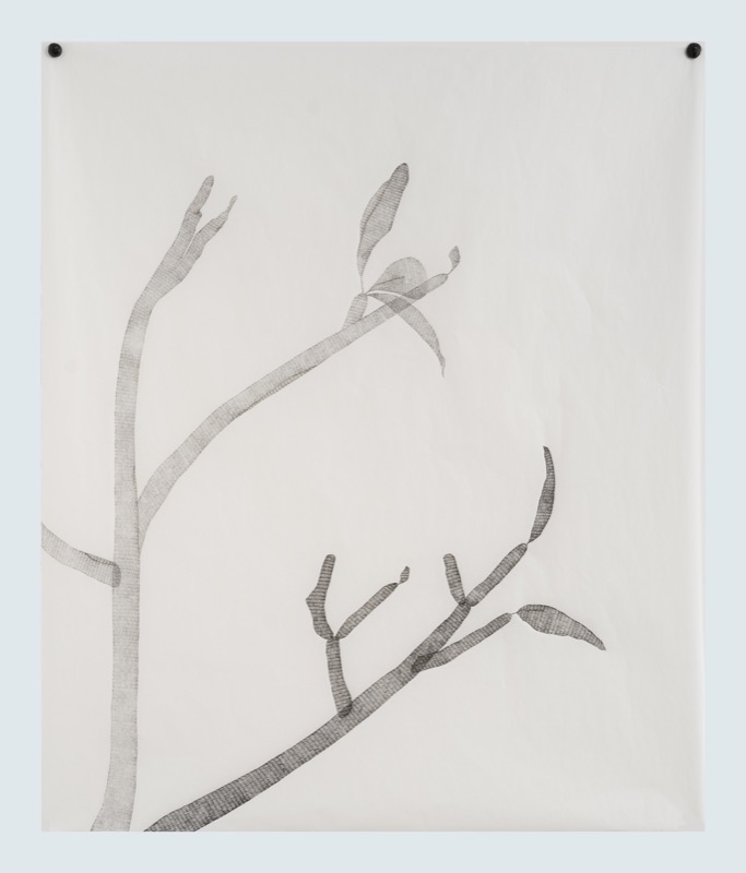 Artwork: From the same tree