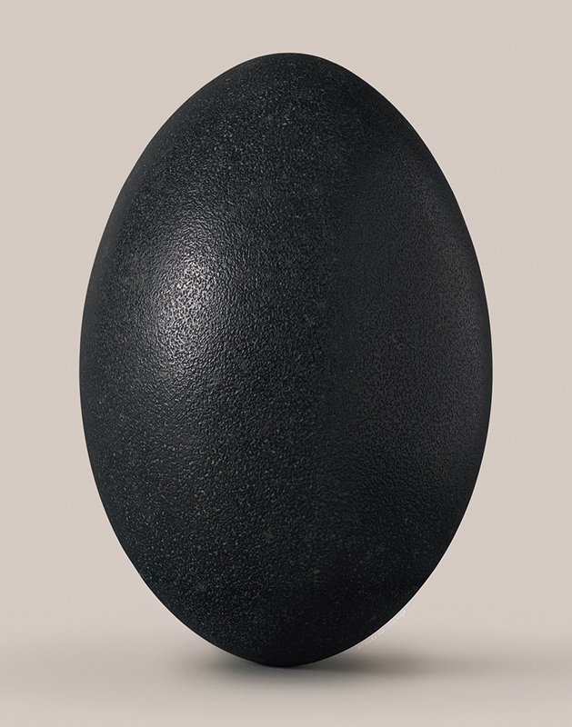 Artwork: Emu egg