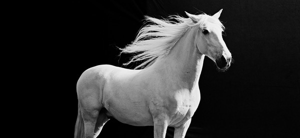 Gary Heery & Nic Fiddian Green