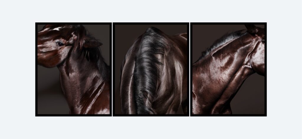 Artwork: Brown Horse Triptych