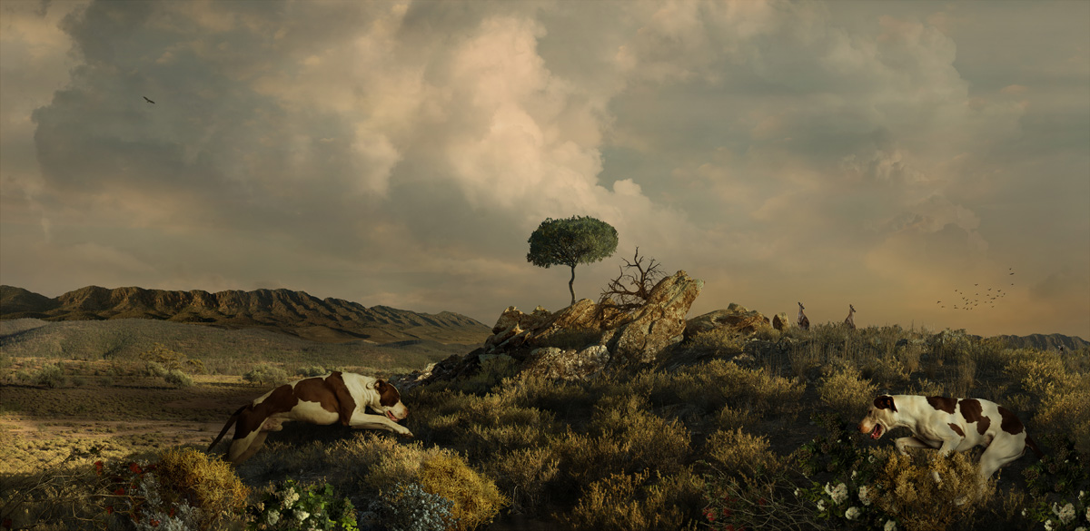 Artwork: Sacred Rocks