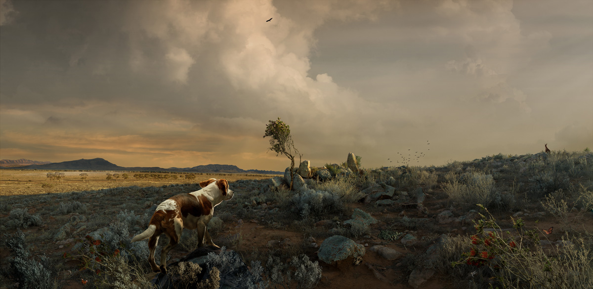 Artwork: Dark Sunrise