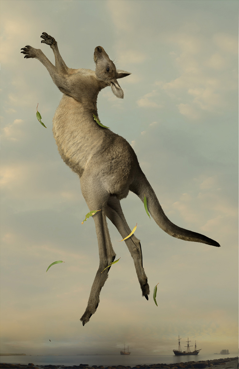 Artwork: Last Leap 1