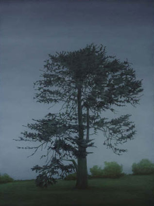 Artwork: West Coast Cypress