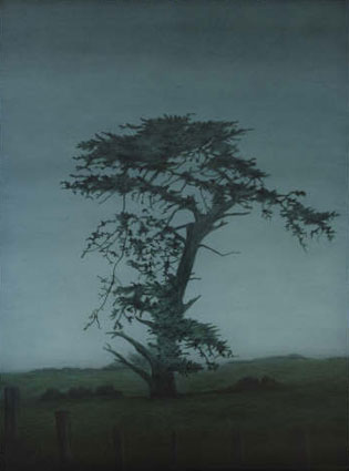 Artwork: Rosebrook Cypress