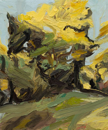 Artwork: Trees in Sunlight