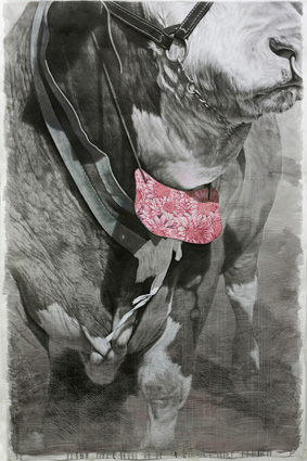 Artwork: Tethered by Fears Propelled by Dreams