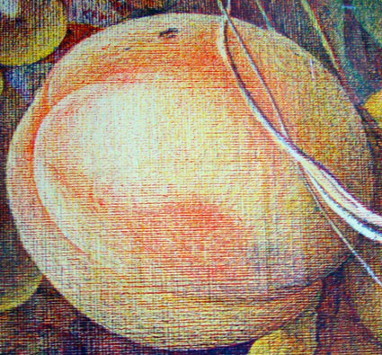 Artwork: Pears Grapes 1140
