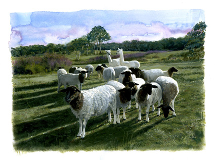 Artwork: Revelation back block mob