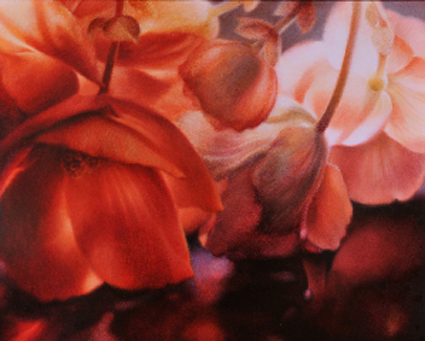 Christine Johnson 2010