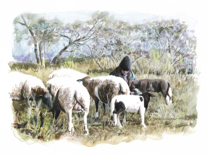 Artwork: Becoming a shepherd first flock