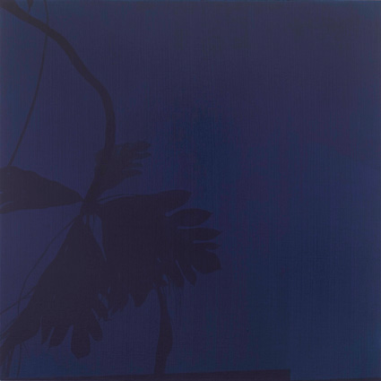 Artwork: Shadow
