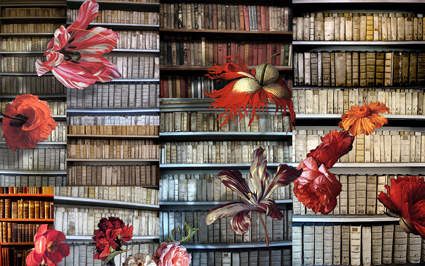 Artwork: Ex Libris 1