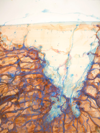 Artwork: Lake Eyre Jackboot Bay