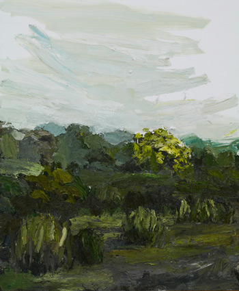 Guy Maestri 2011 – no mans land