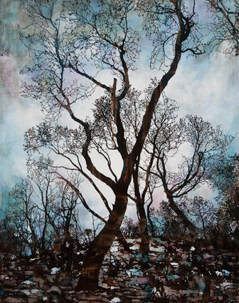 Artwork: This Must be the Place pastel colour way