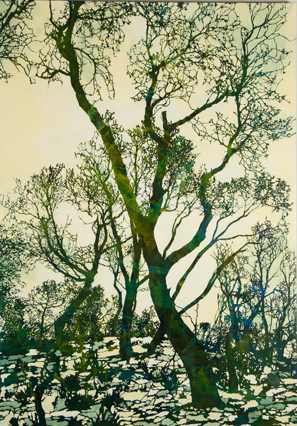 Artwork: Jervis Bay NSW