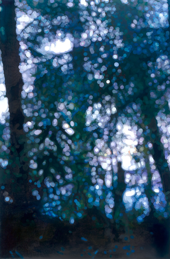 Artwork: Lost Huon Pine Experience