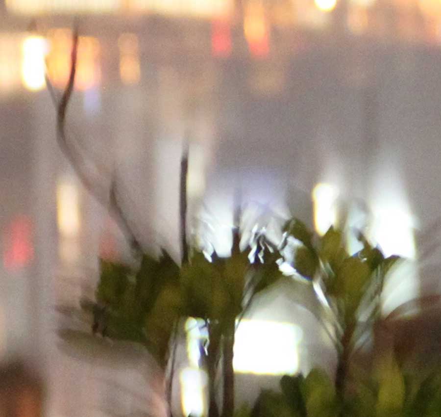 Still Life Hong Kong Lights