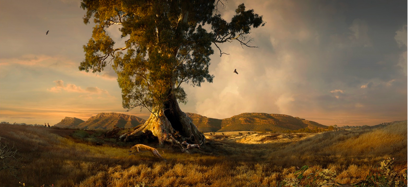 Artwork: Cazneaux Hunters