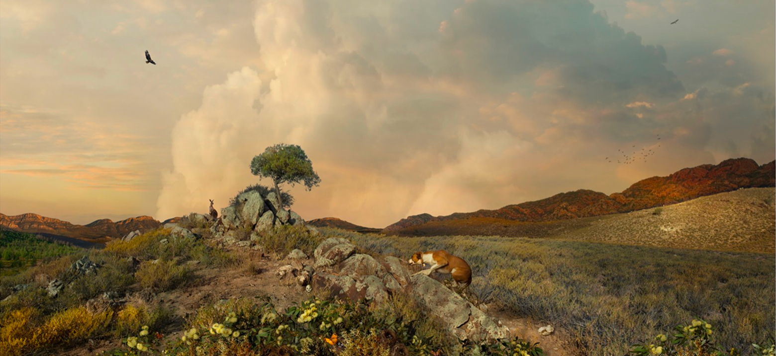 Artwork: Empire Ridge