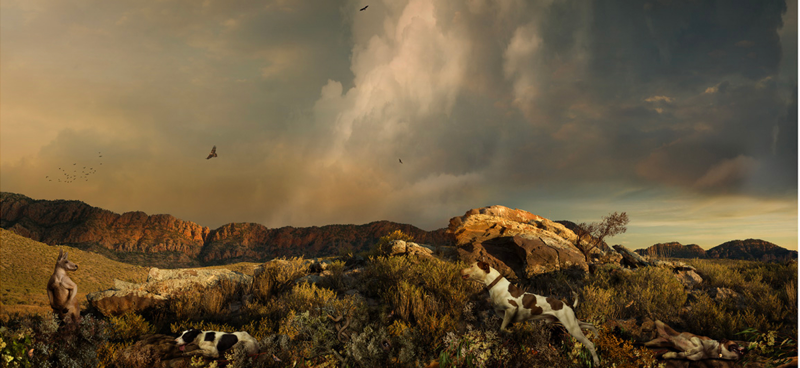 Artwork: Lost Leader