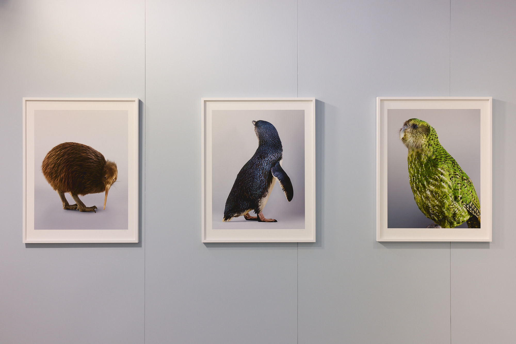 2025 Aotearoa Art Fair