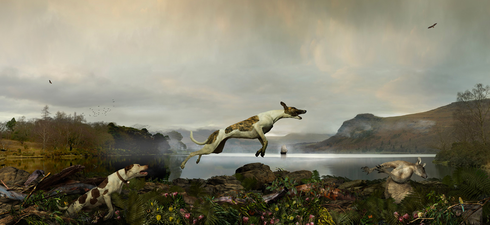 Artwork: Bold Arrival