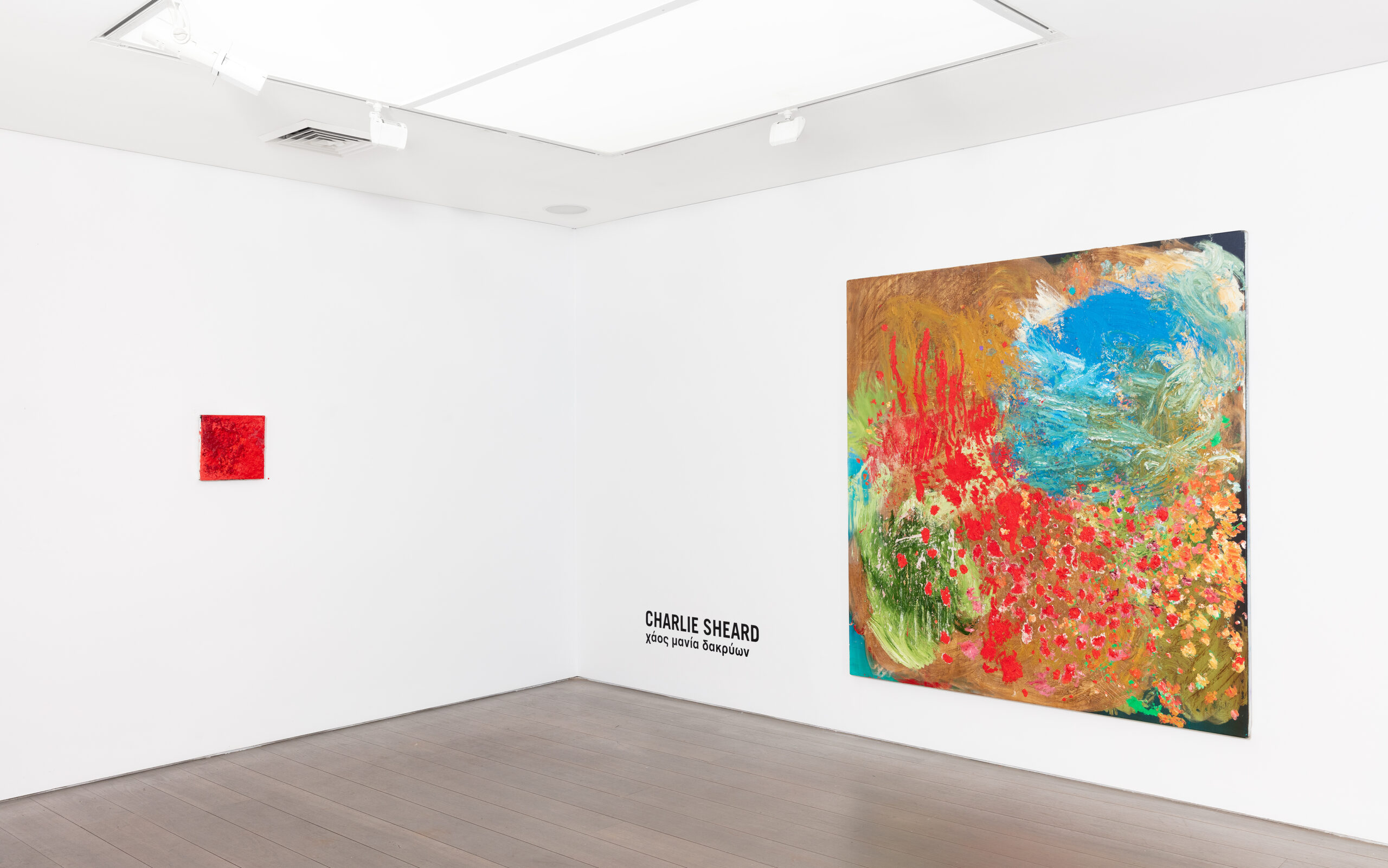 χάος μανία δακρύων