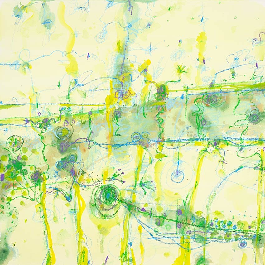 Tropical Lilypond Morning