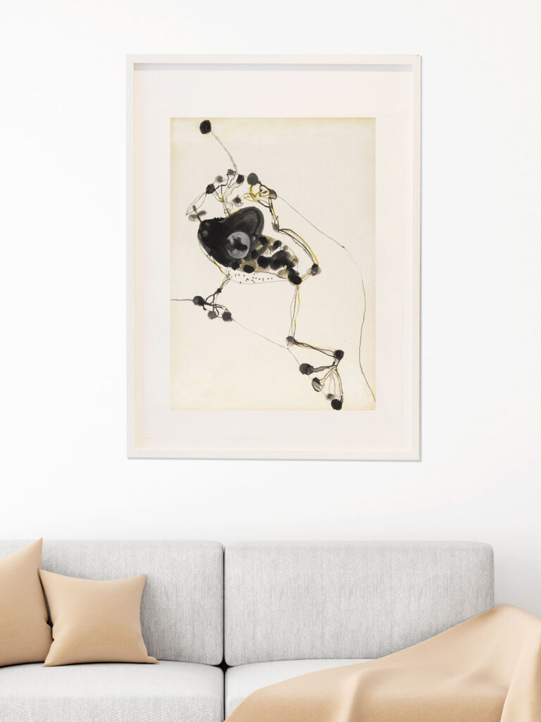 Olsen print and limited