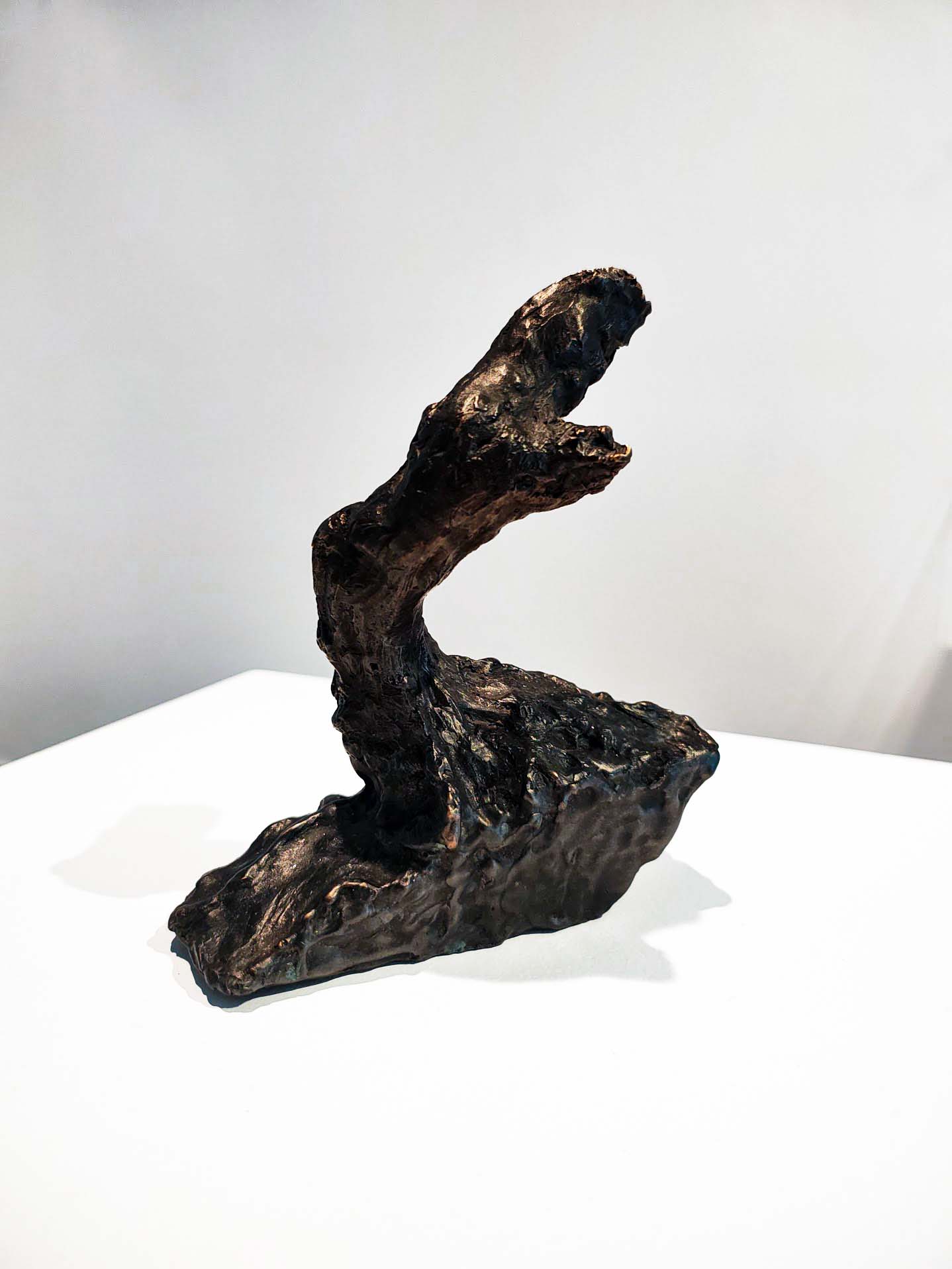 Artwork: Last Tree I