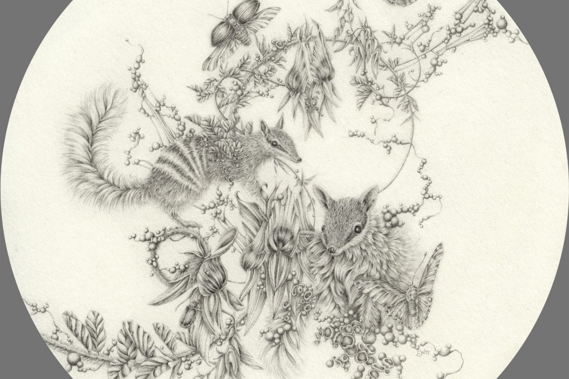 upcoming-exhibitions