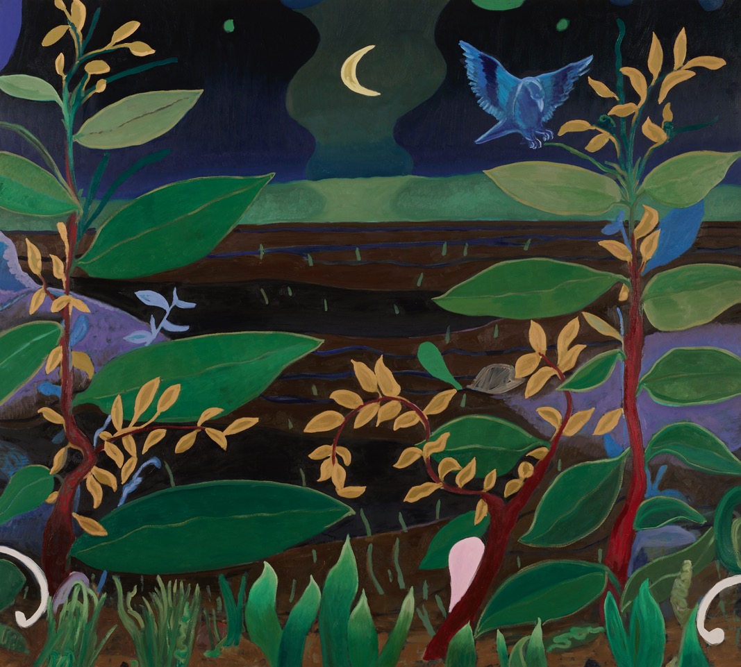 Artwork: Goldwreath National Park