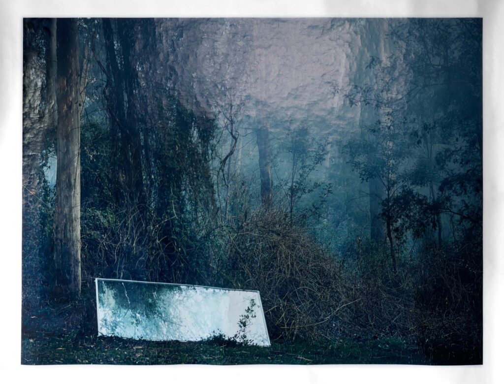 Artwork: Fable (large)