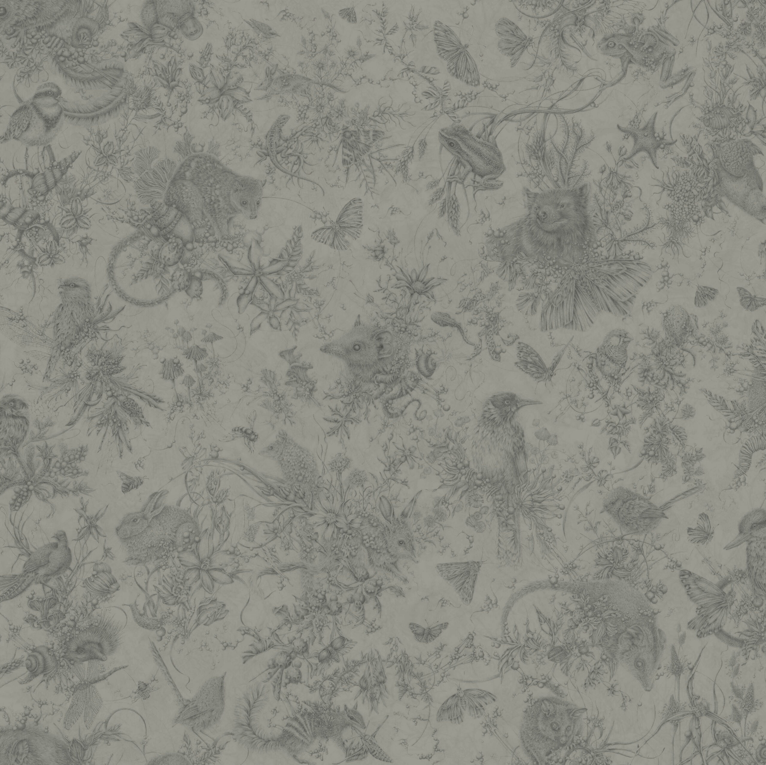 upcoming-exhibitions