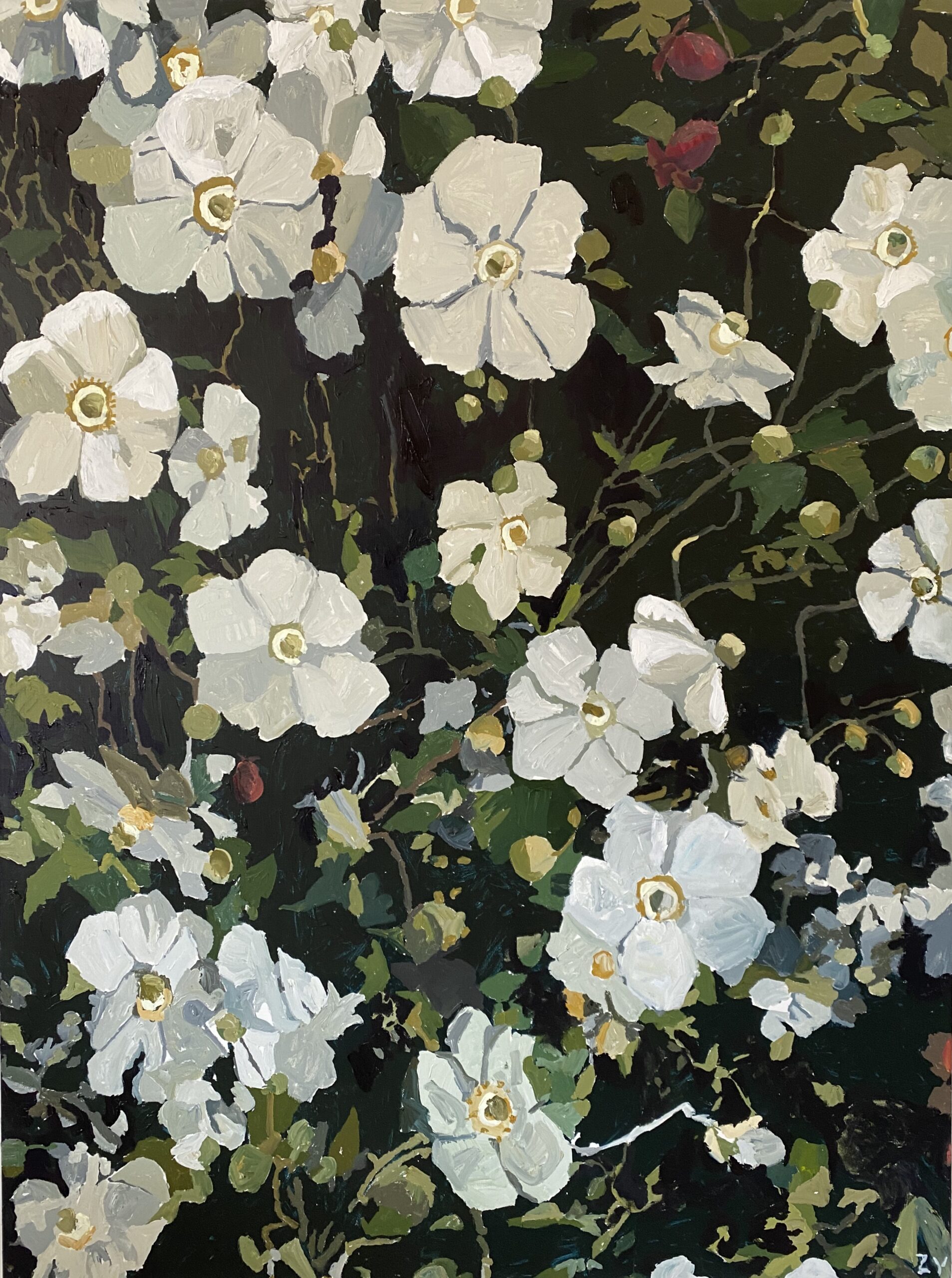 upcoming-exhibitions