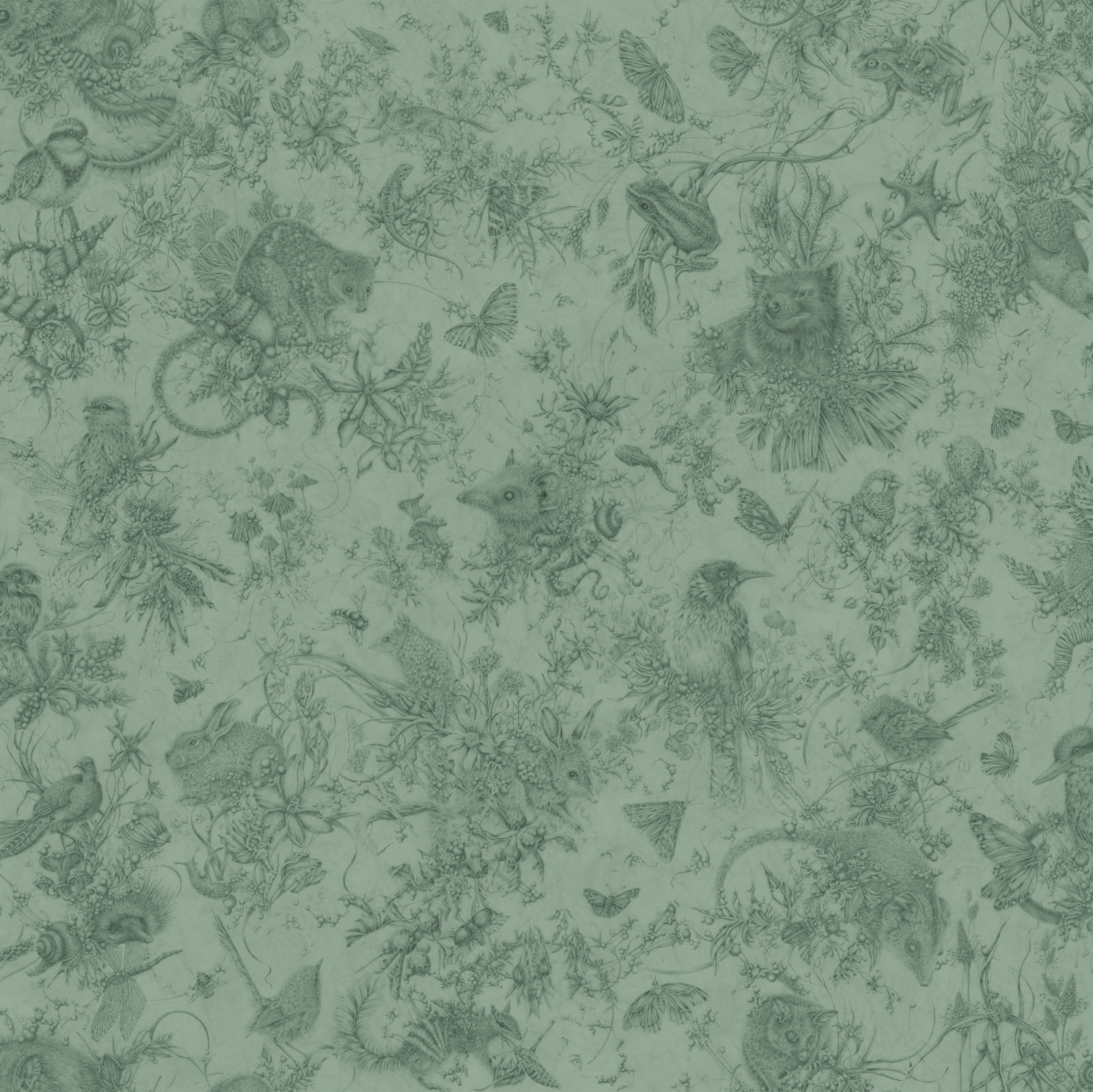 Entangled Ecologies (wallpaper)