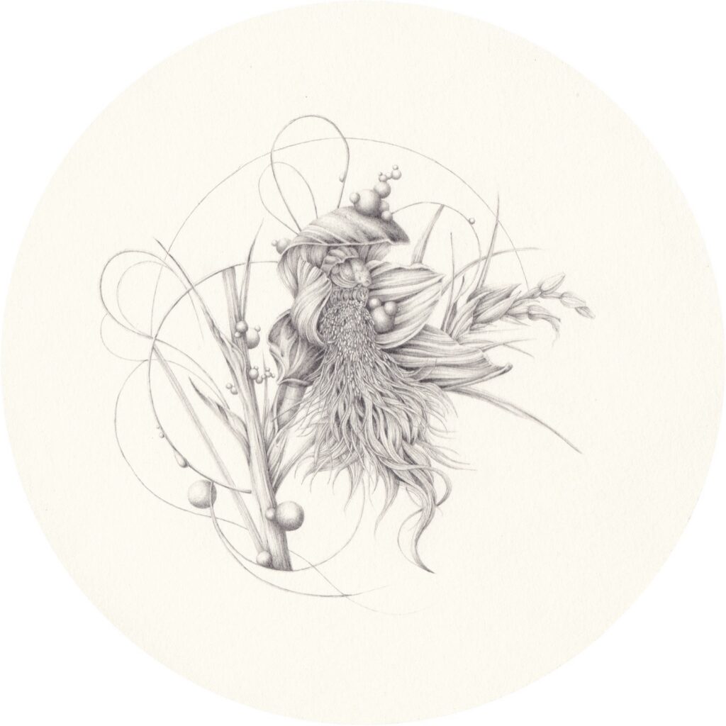 3_EN_Beard_Orchid