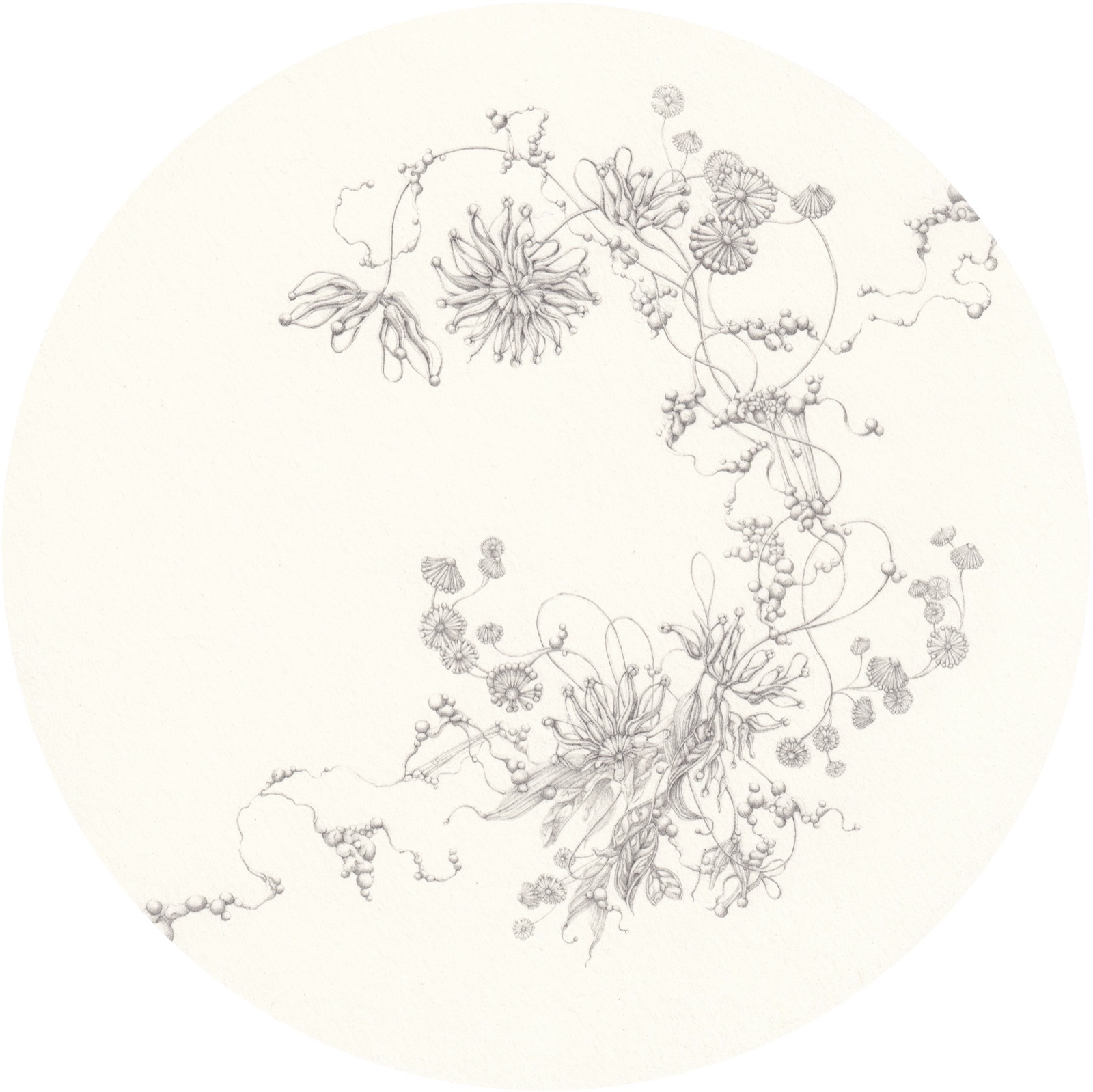 Artwork: Fire Wheel