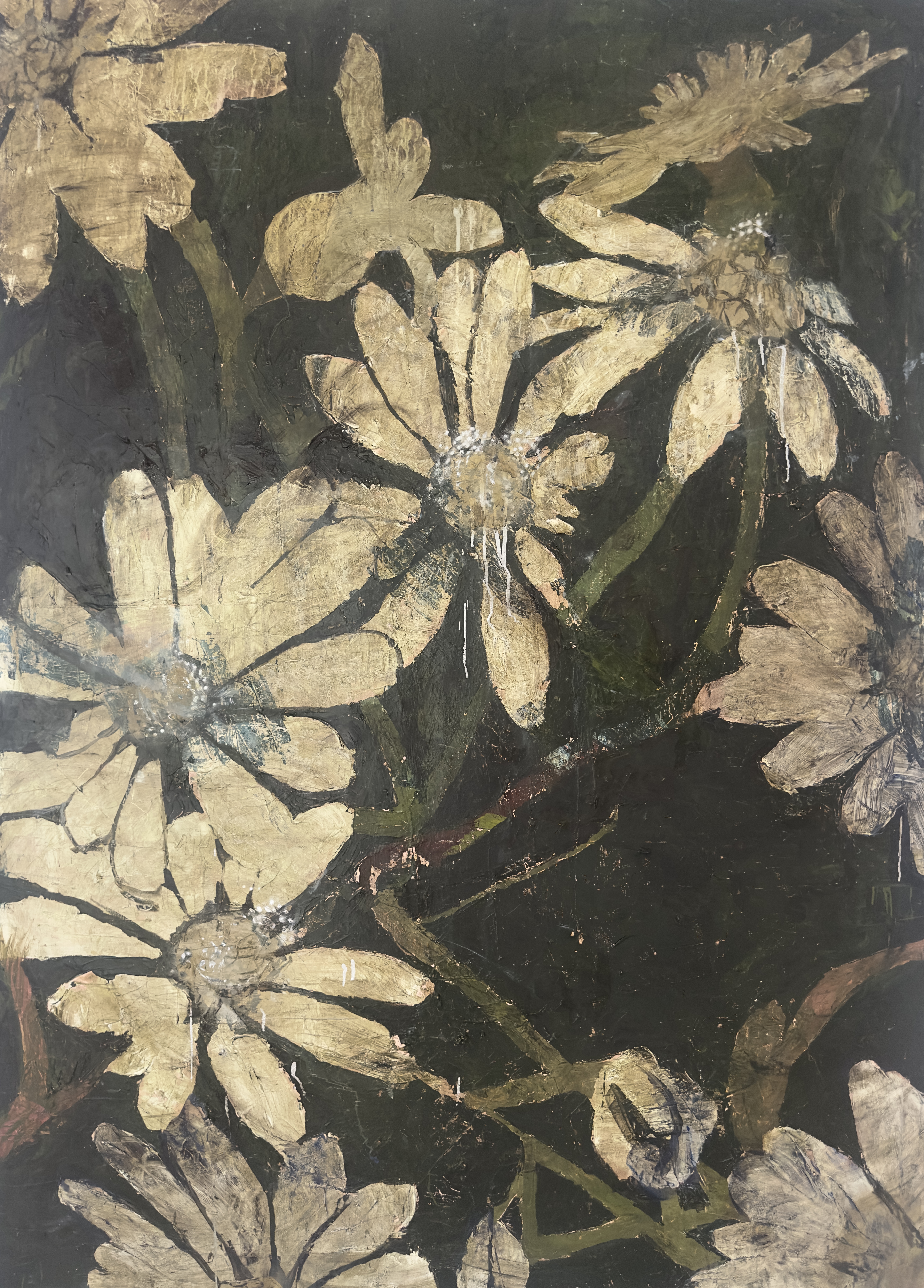 Artwork: Kosciusko Daisies/ Children of Universe (cinematique)