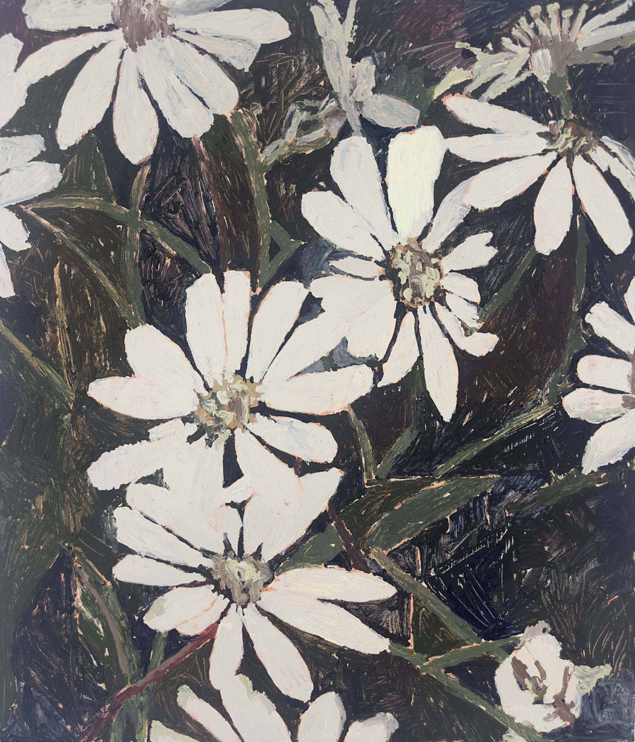 Artwork: Kosciusko Daisies/ Children of Universe (video)