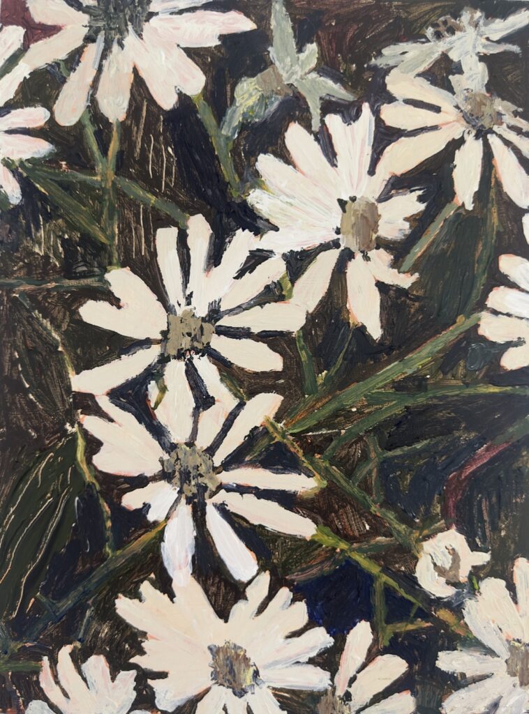 kozi daisies (medium 30 x 40)