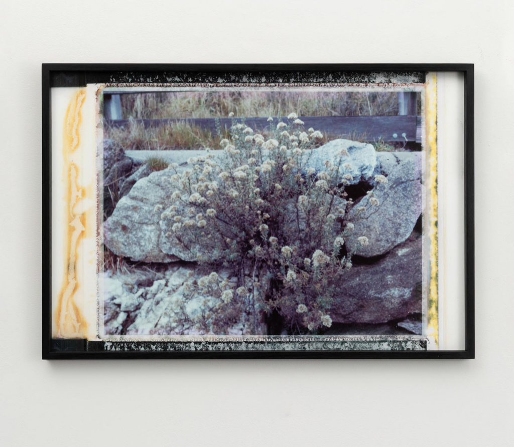 Aphelion_triptych_I
